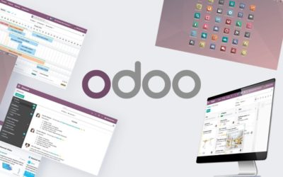 Mi experiencia de trabajo con Odoo ERP